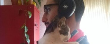 gatti e papà gioco