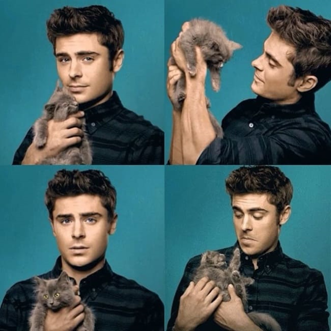 gatti e vip efron