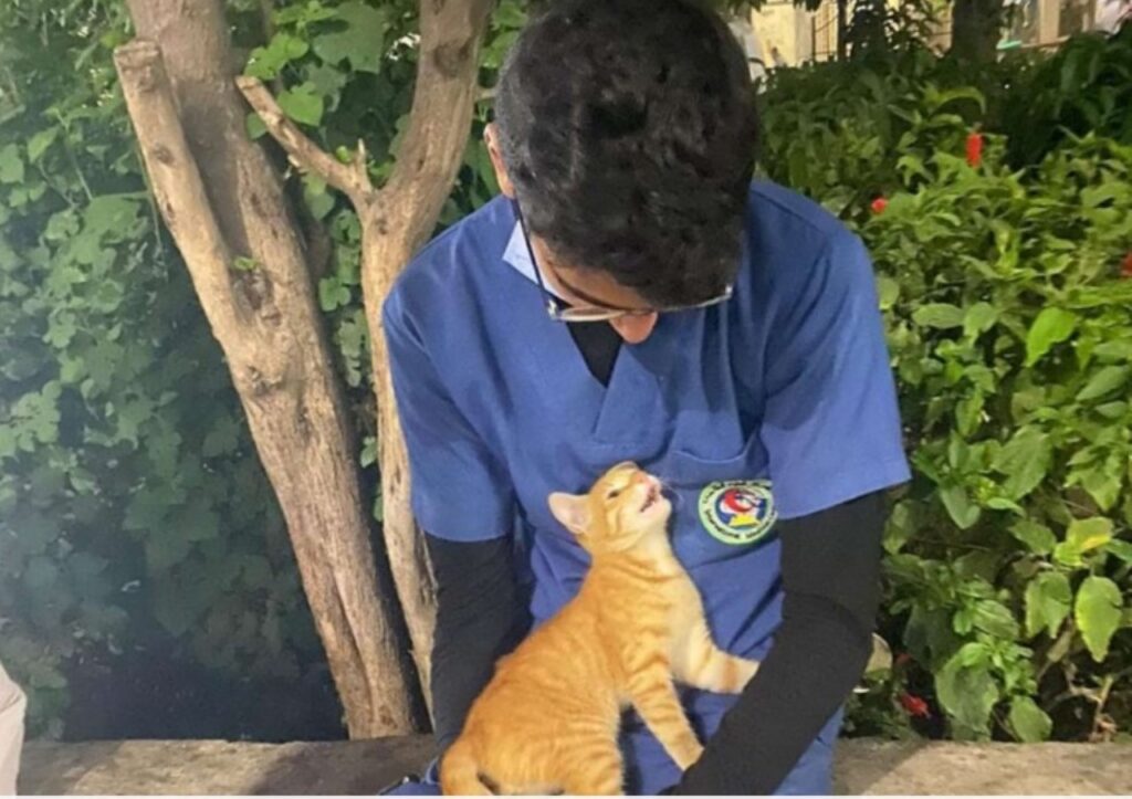 Gatto consola un infermiere