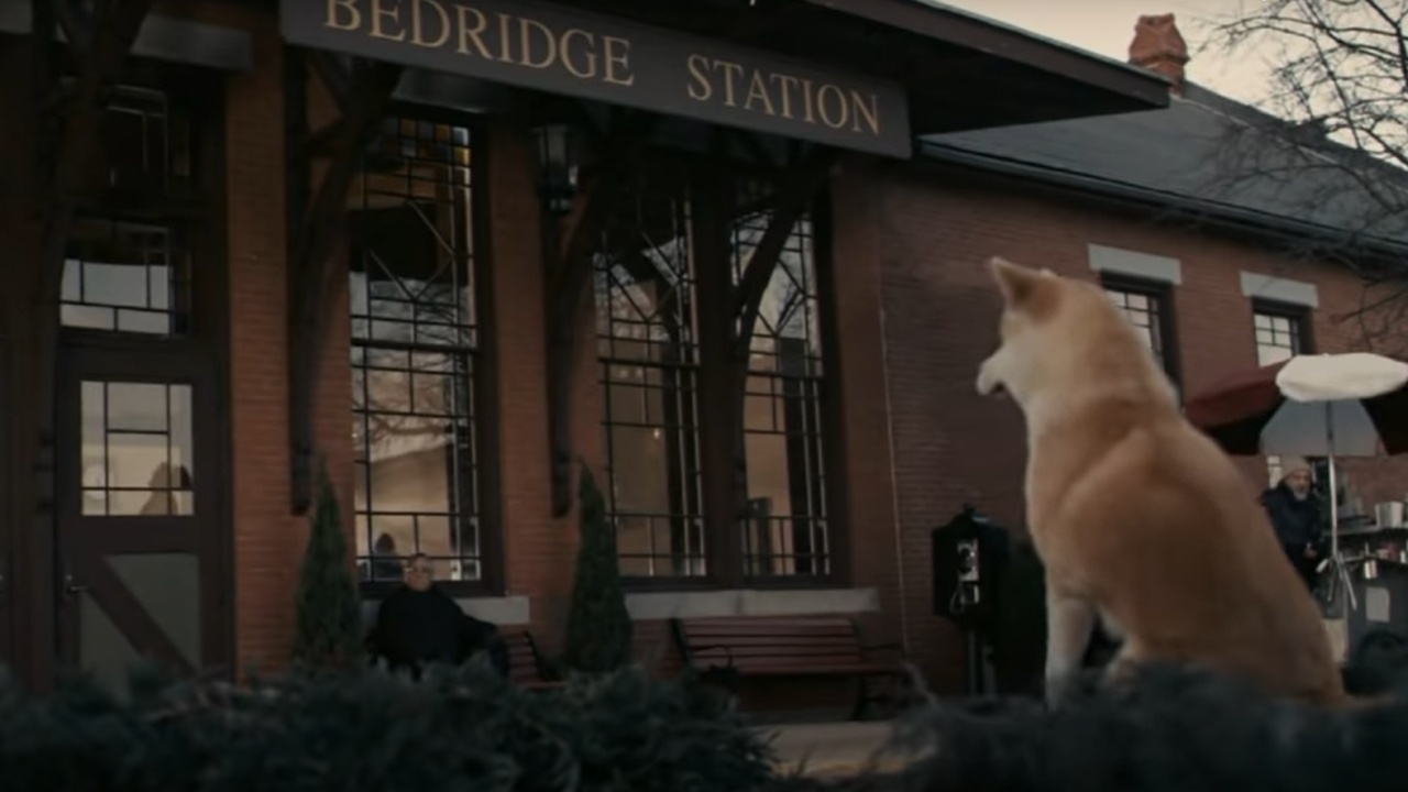 la storia di Hachiko, il cane più fedele del mondo