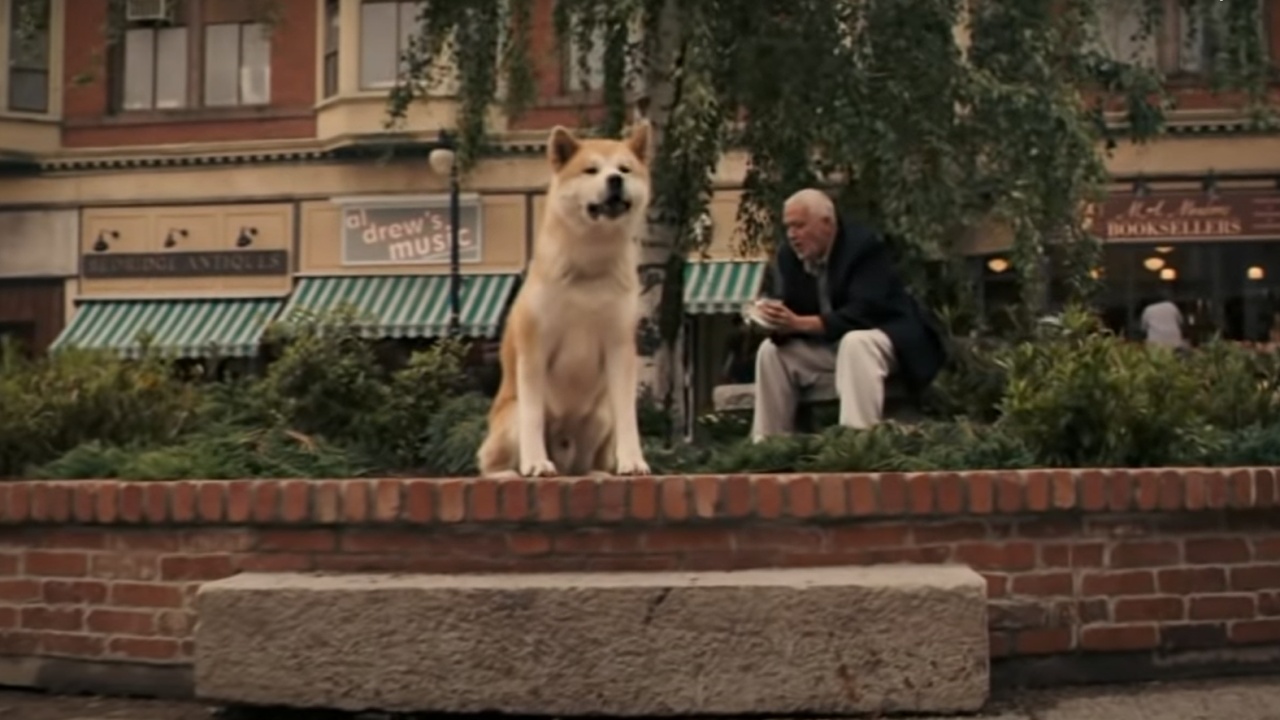 la storia di Hachiko, il cane più fedele del mondo