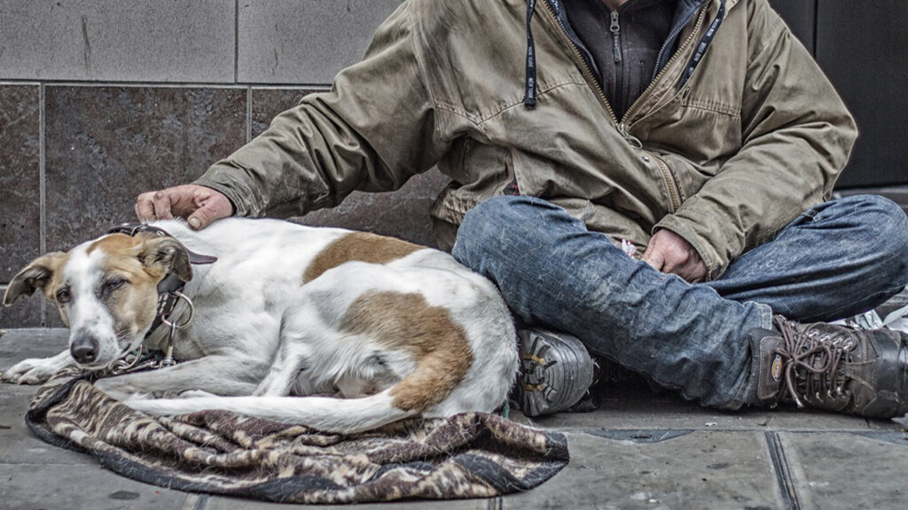 cane e mendicante