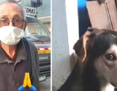 Nonno alla ricerca del proprio cane