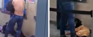 Un gentile ragazzo dona la sua maglietta ad un randagio infreddolito