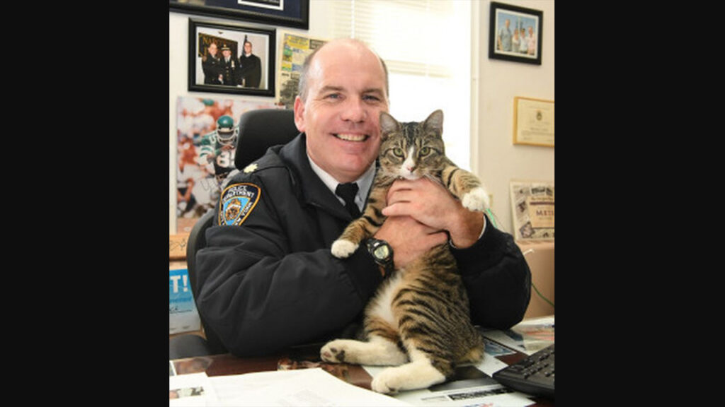 gatto e poliziotto 