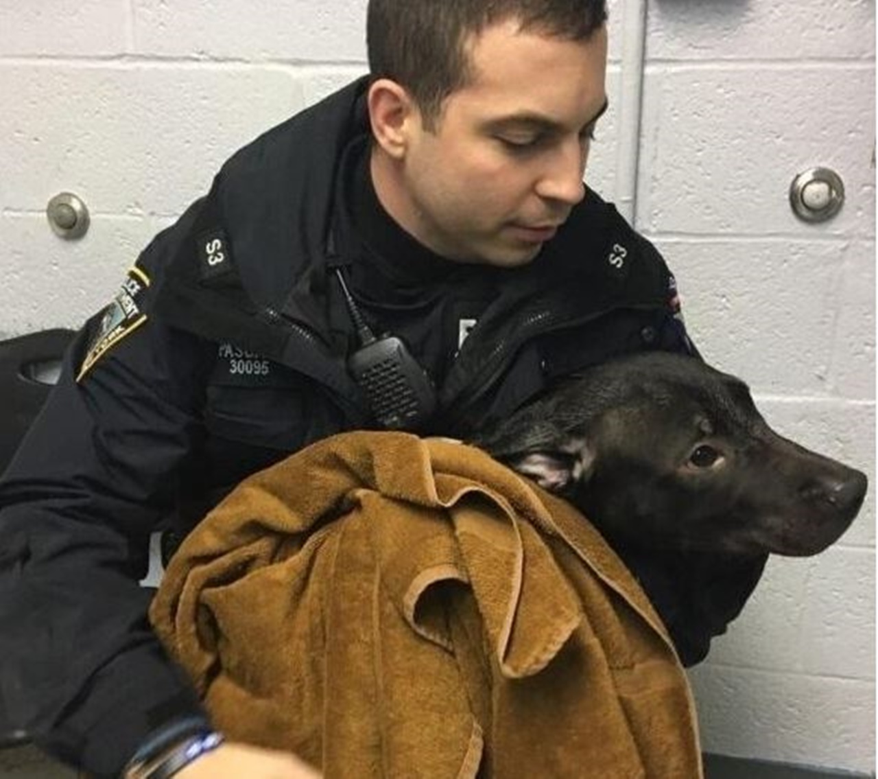 poliziotto adotta coperta