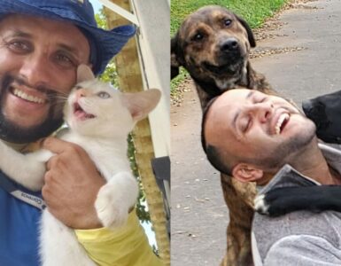 postino scatta foto con gli animali che incontra