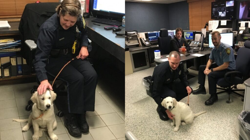 cane al primo giorno di lavoro in centrale di polizia