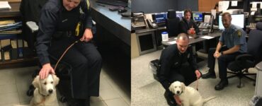 cane al primo giorno di lavoro in centrale di polizia