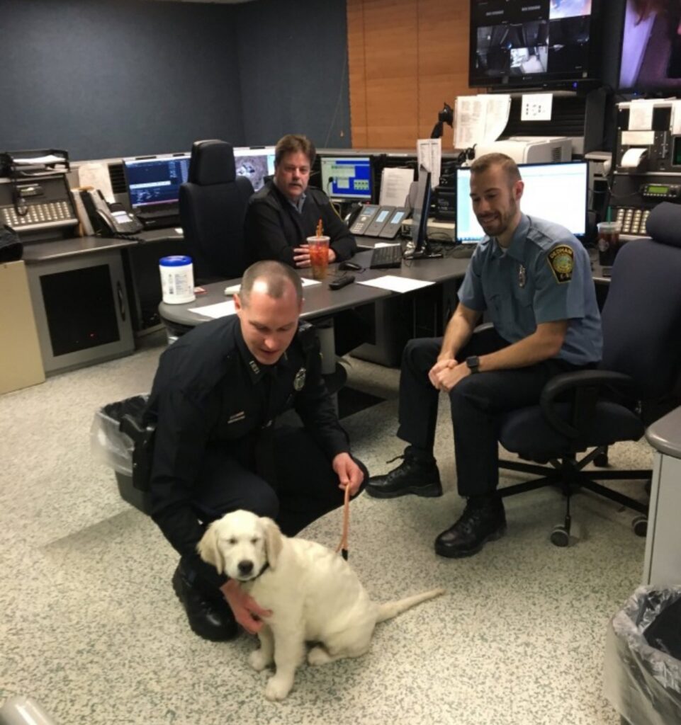 cane al primo giorno di lavoro in centrale di polizia