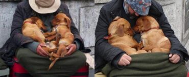 abbraccio senzatetto