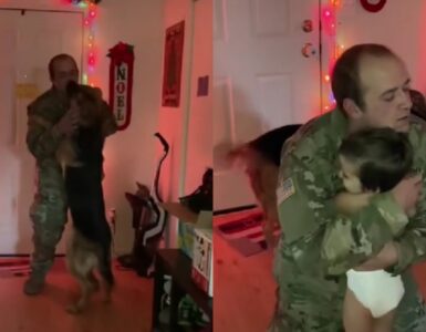 soldato saluta il cane e figlio