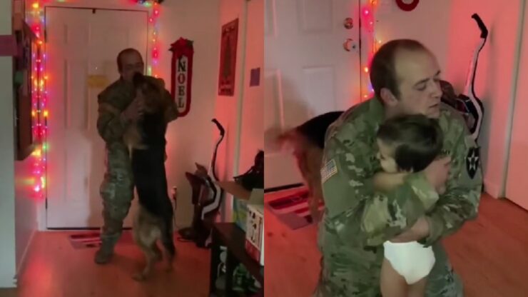 soldato saluta il cane e figlio