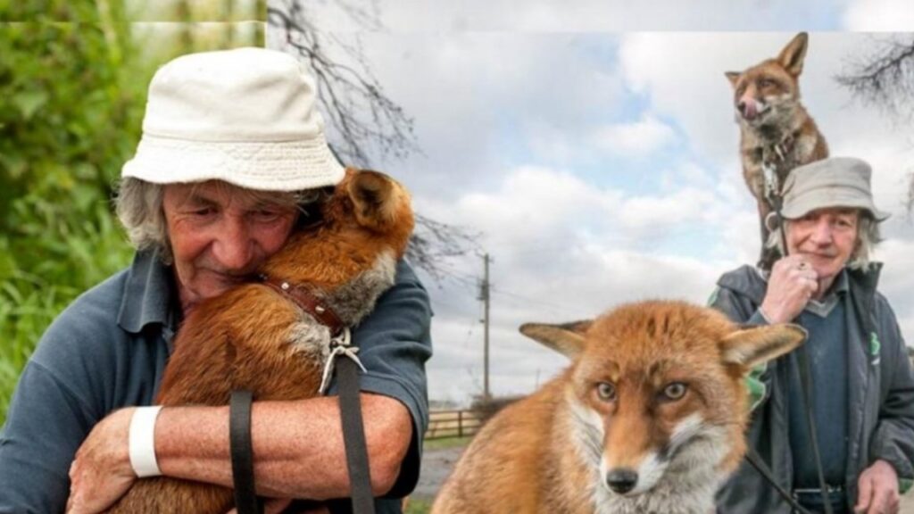 L'uomo che ha salvato molti animali