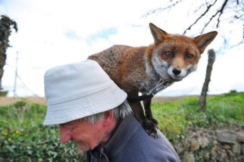 L'uomo che ha salvato molti animali