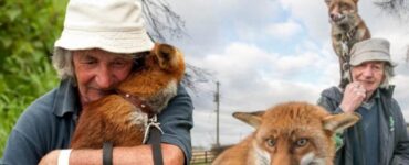 L'uomo che ha salvato molti animali