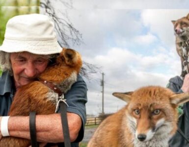 L'uomo che ha salvato molti animali