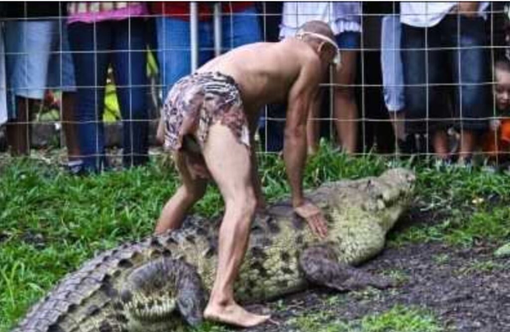 Uomo salva un coccodrillo