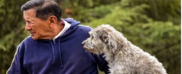 4 storie di cani signore