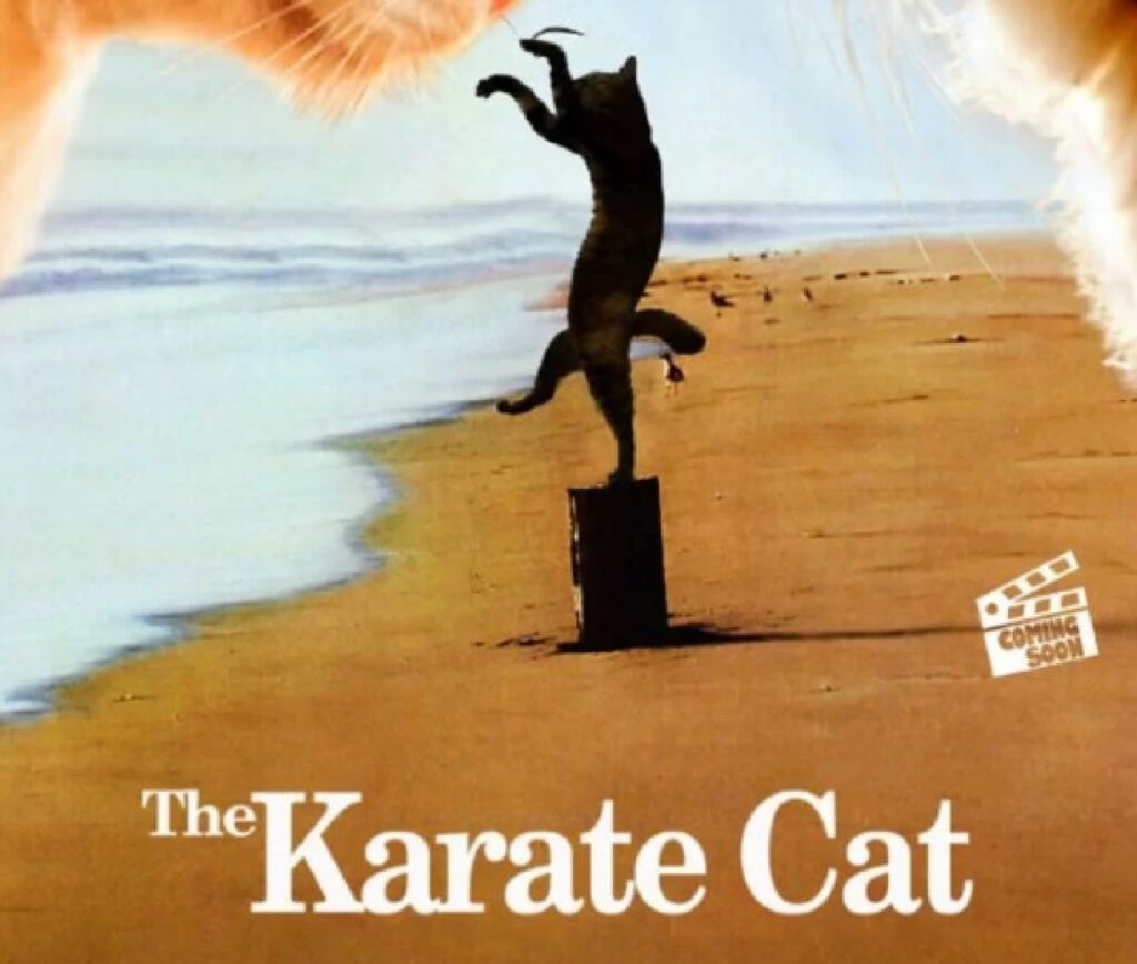 gatto karate kid