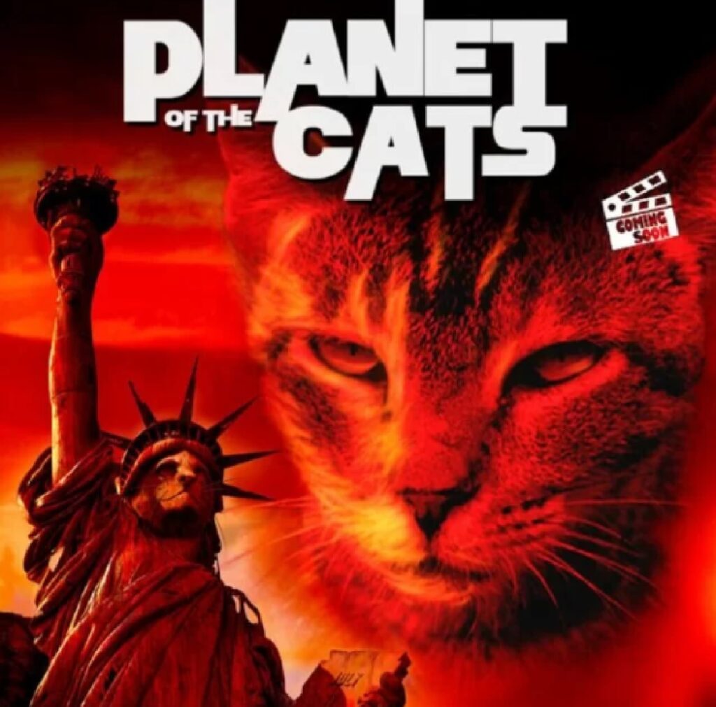 il pianeta dei gatti
