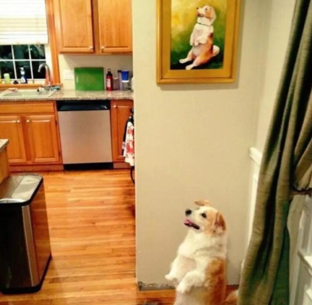 cane identico al quadro