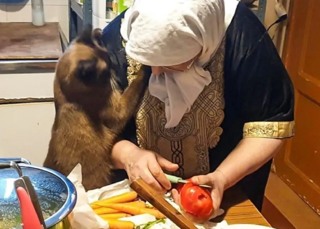gatto aiuta mamma nelle faccende domestiche