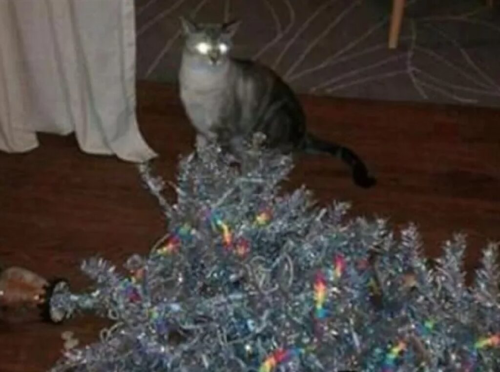 gatto butta giù albero di natale