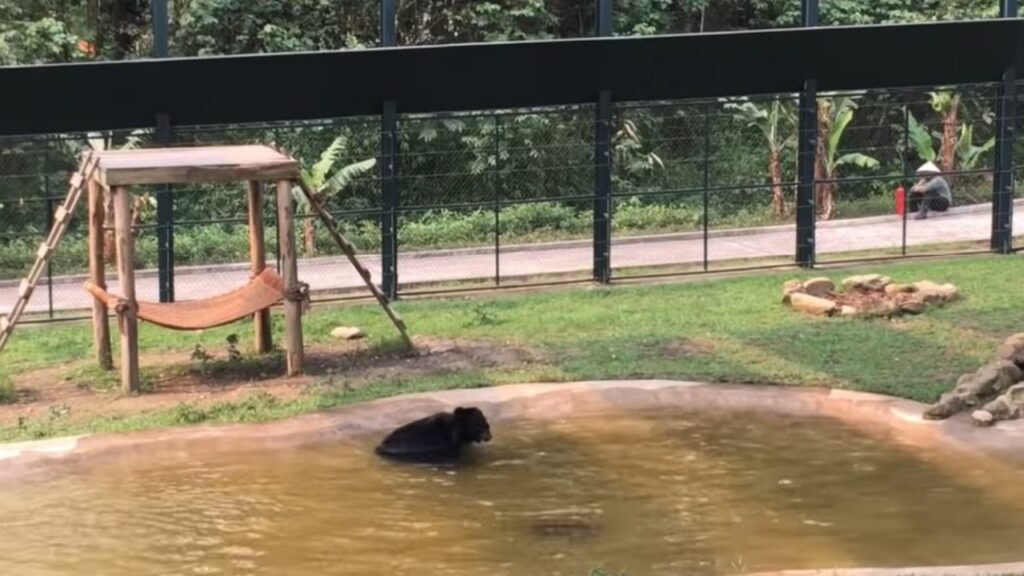 Grazie a un'organizzazione per il salvataggio degli animali, Tuffy è stato salvato