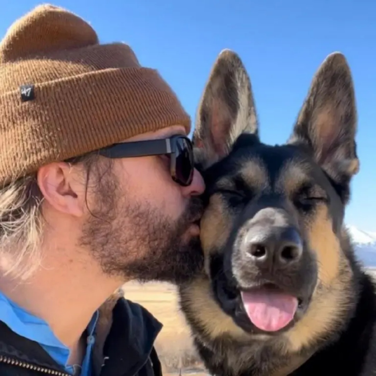 Un cucciolo di Pastore Tedesco viene adottato da un brav'uomo