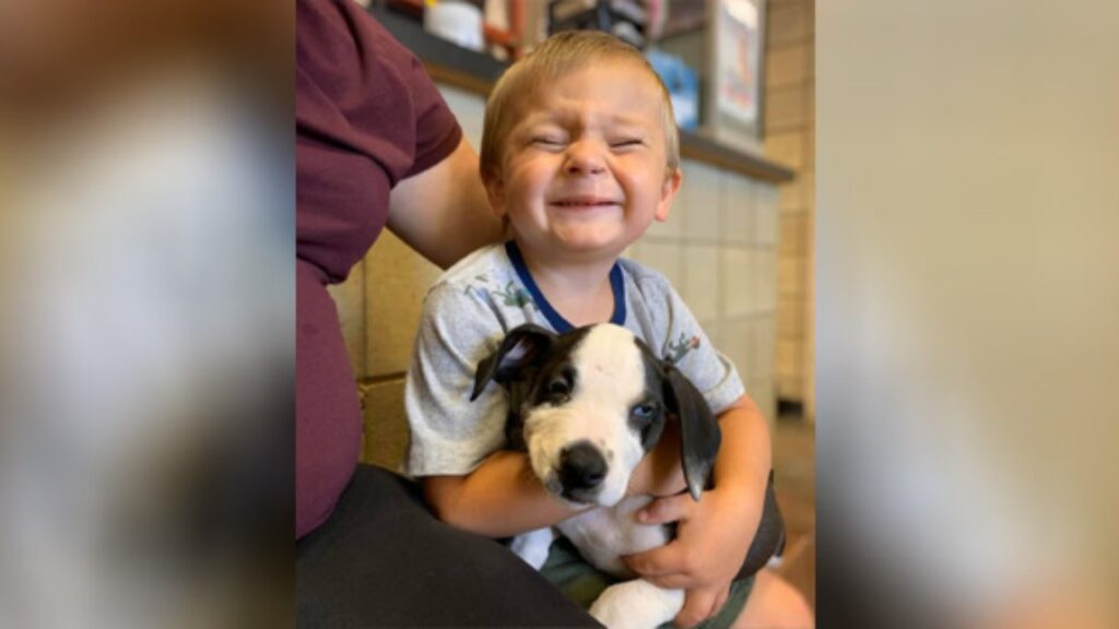 Un bambino adotta un cane con la sua stessa patologia: il labbro leporino
