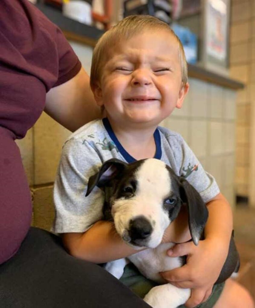 Il bambino e il cucciolo sono diventati inseparabili