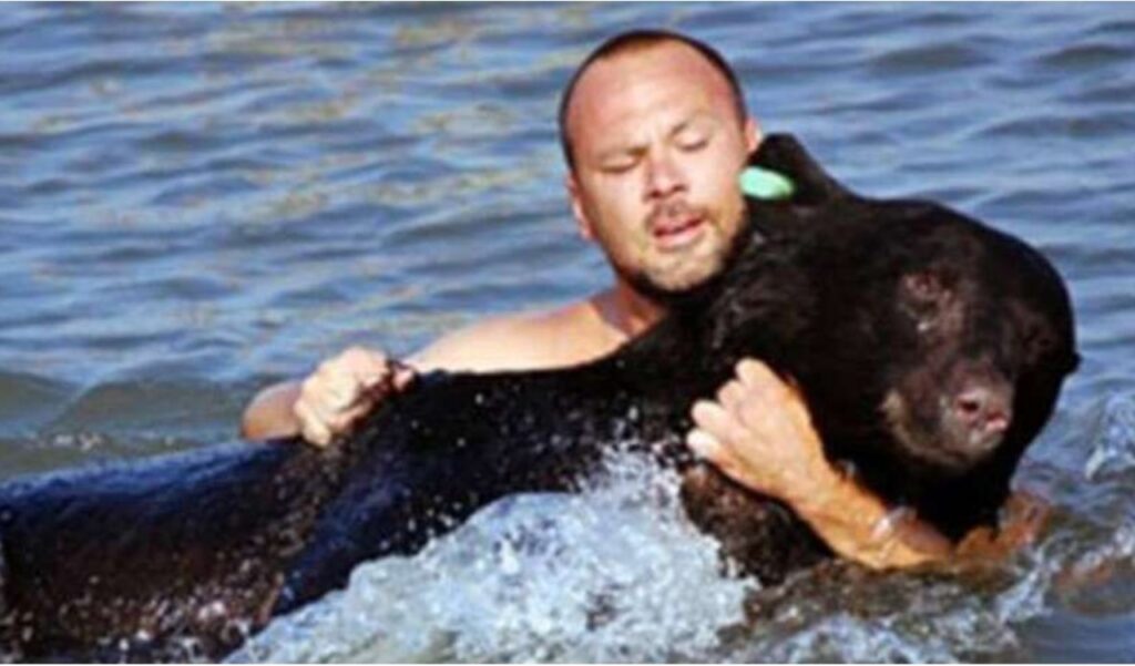 Orso in difficoltà in un lago