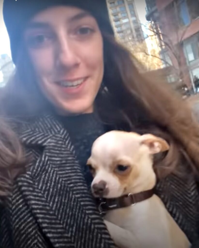 Il cagnolino viene adottato da una donna