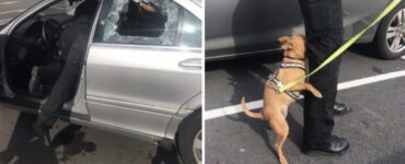 poliziotto rompe macchina