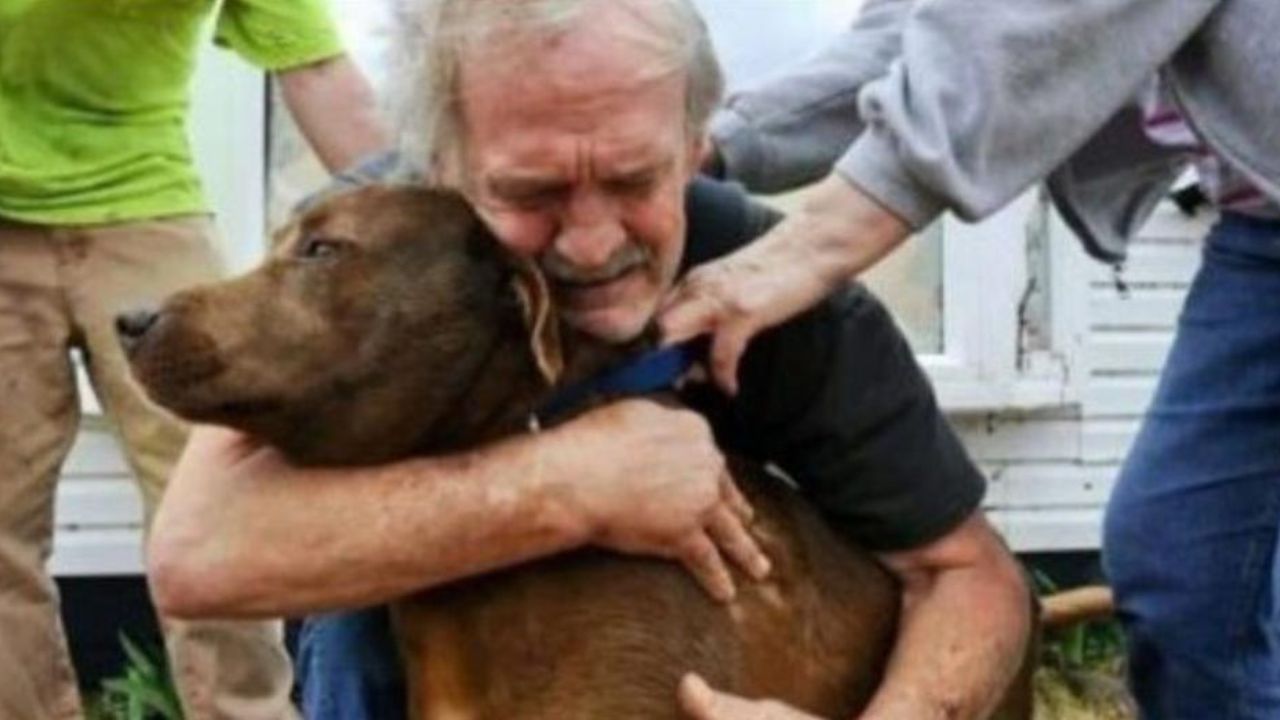 Commovente abbraccio anziano e cane