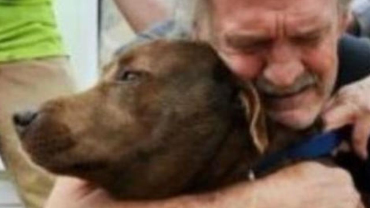 Anziano abbraccia commosso cane
