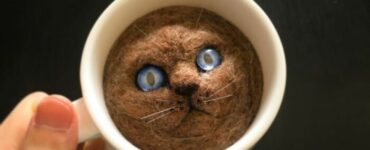 4 gatti di feltro tazza