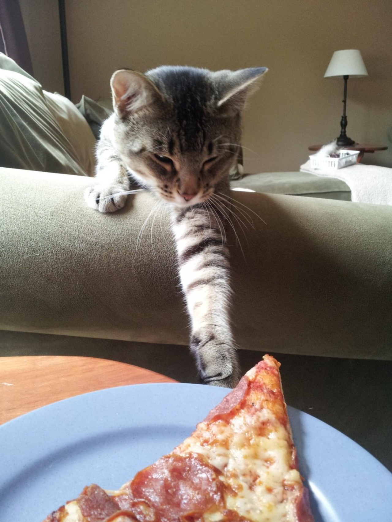 4 gatti pizza