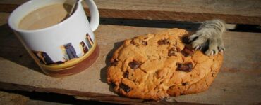 4 gatti cookie
