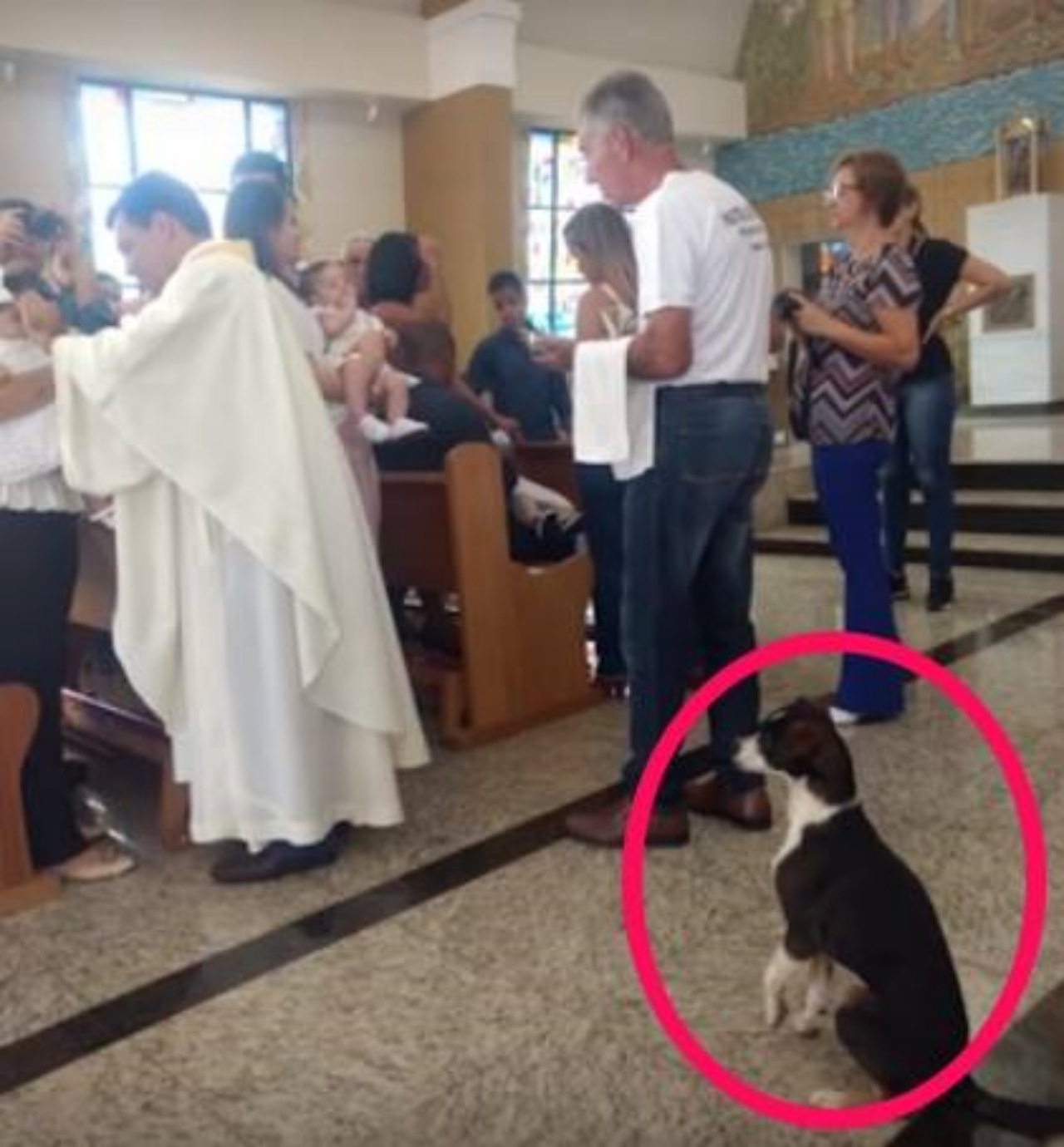 Cane ascolta il sermone del parroco con molta attenzione