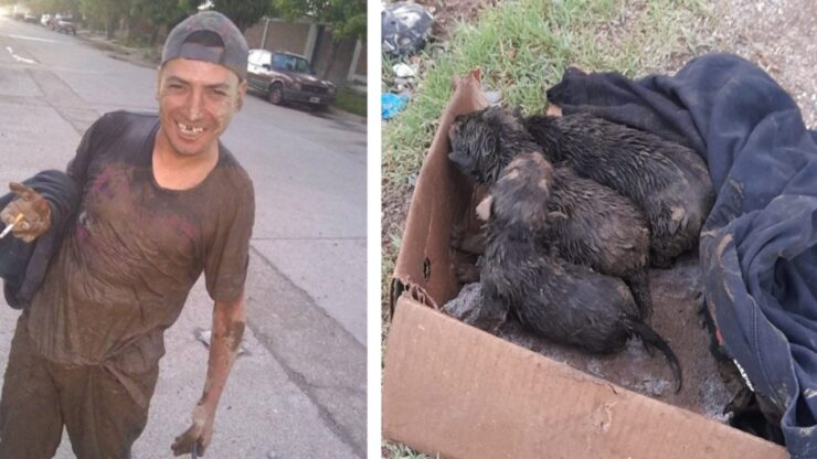 Cuccioli nascosti in un fossato: un uomo li salva