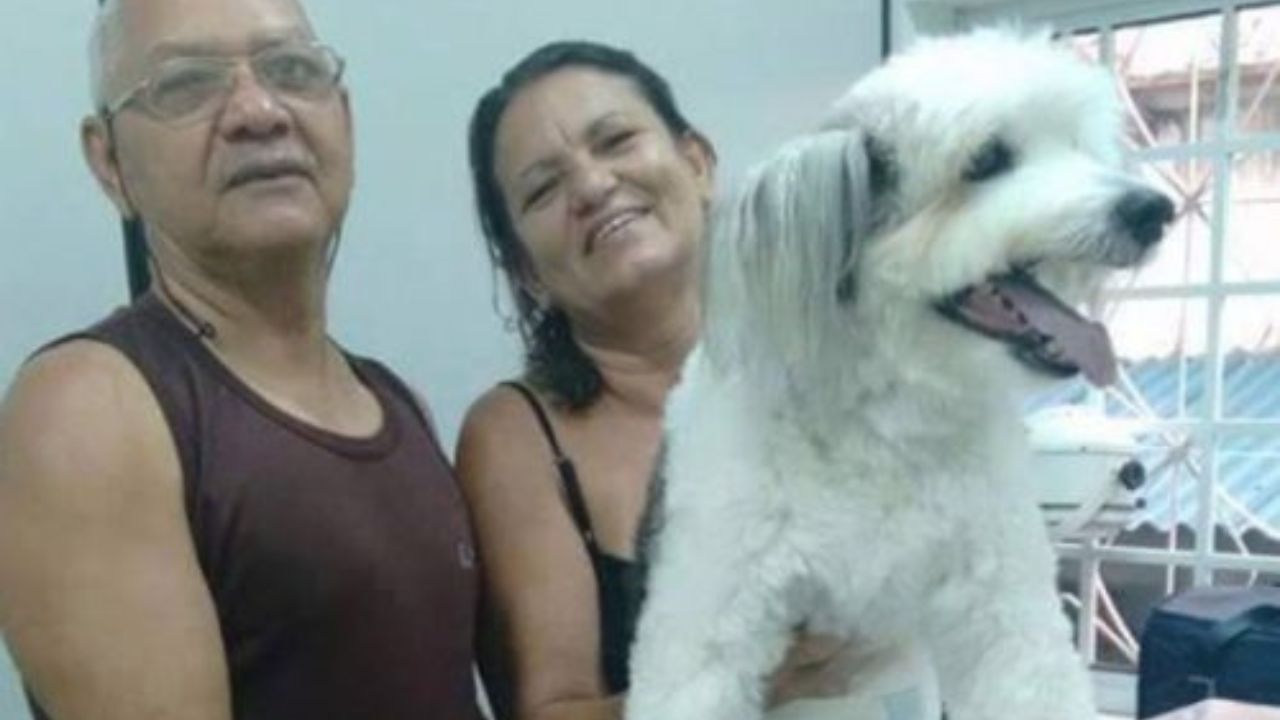 Cane paraplegico con i genitori adottivo