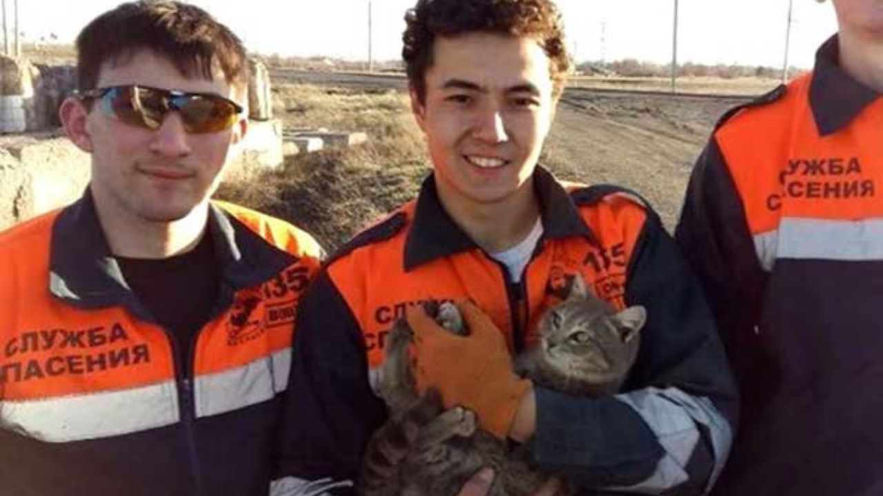 Gattino in braccio dei soccorritori