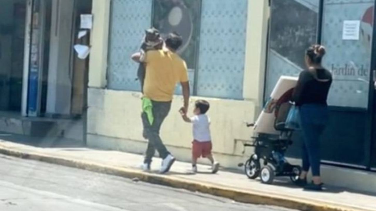 Papà umano porta cane in braccio