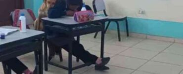 cagnolina aiuta banco