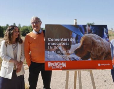 Sindaco promette cimitero per animali domestici ai suoi cittadini