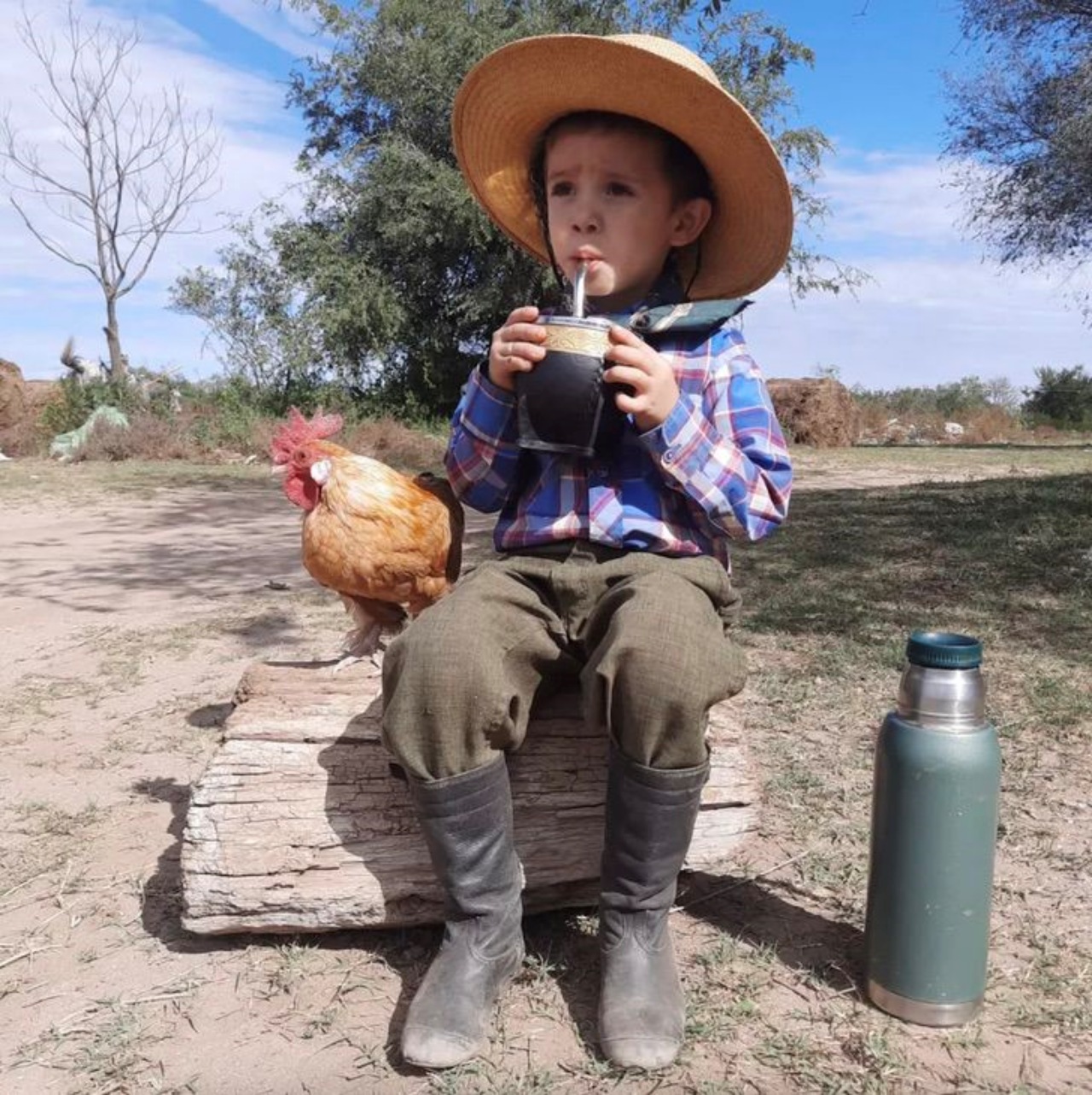 Un gallo ed un bambino uniti da una profonda amicizia