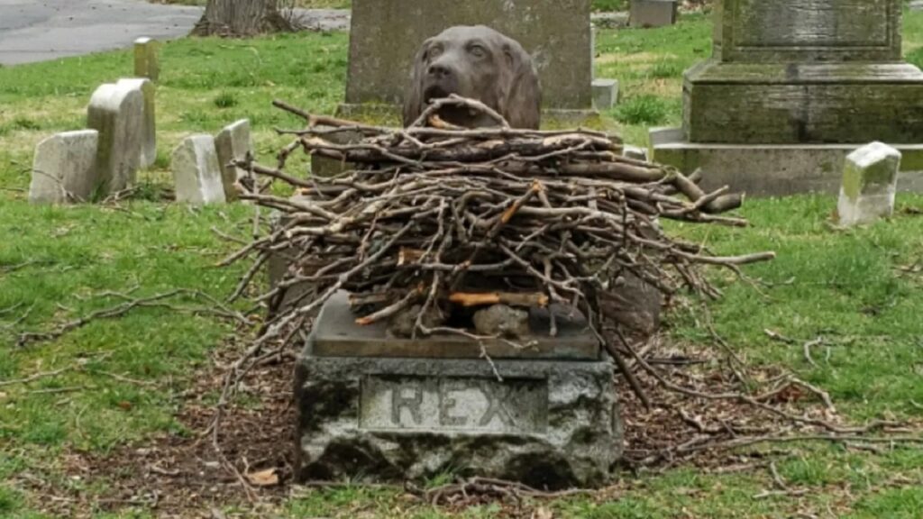 tomba di un cane