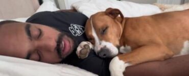 un cane con il proprietario